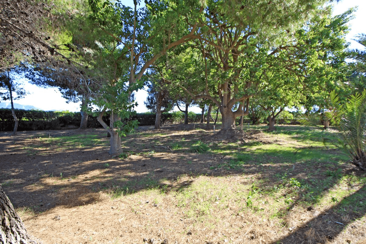 Finca-Villa de 11.310m² a 400 m de la playa