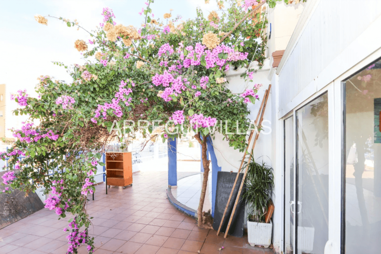 Vivienda/Oportunidad de negocio en venta en Dénia