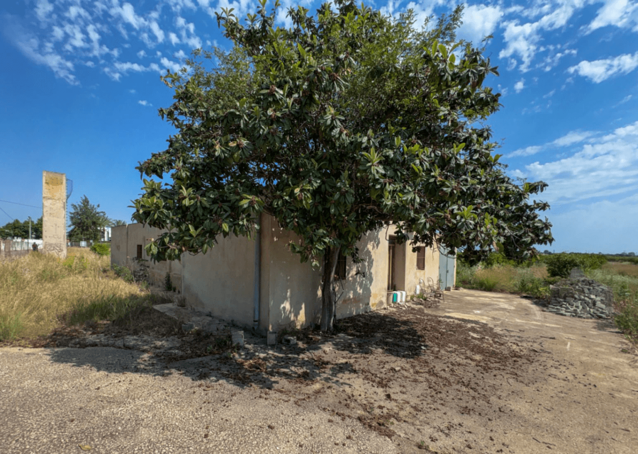 Espectacular Finca de Gran Extensión con Dos Viviendas y Piscina en El Verger.