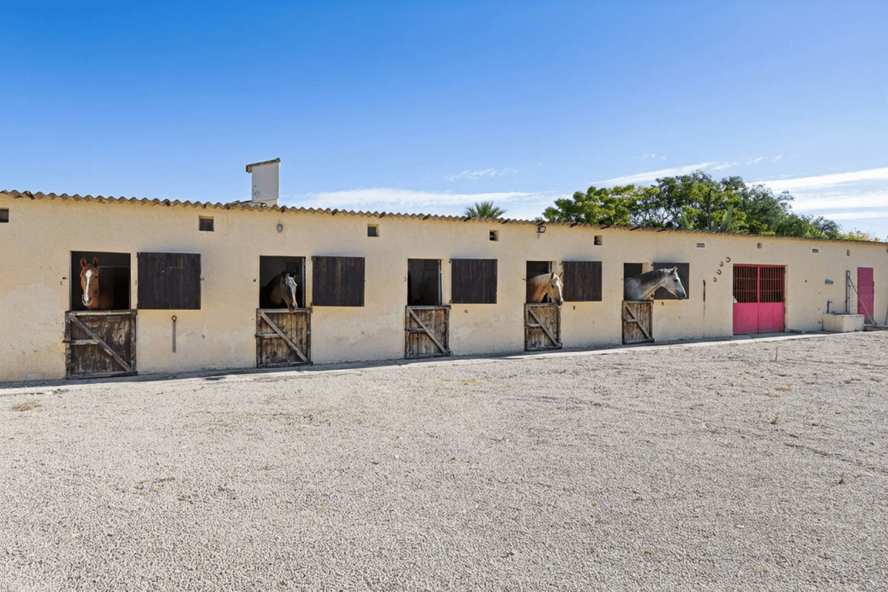 Gran finca rústica compuesta por dos casas y con cuadras para caballos.