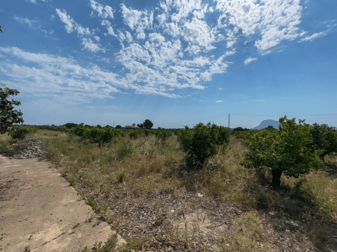 Espectacular Finca de Gran Extensión con Dos Viviendas y Piscina en El Verger.